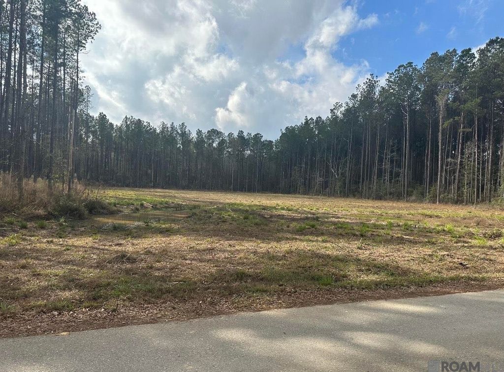 Lot 37 Nesom Rd, Denham Springs, LA 70453