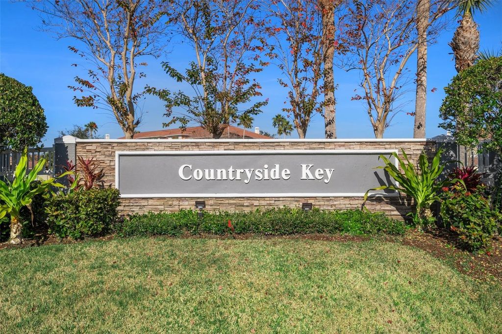 Image 29 of property listing at 388 COUNTRYSIDE KEY BOULEVARD, Oldsmar, FL 34677