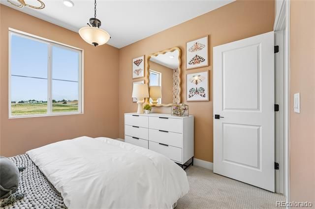 8670 Julian Street, Westminster, CO 80031