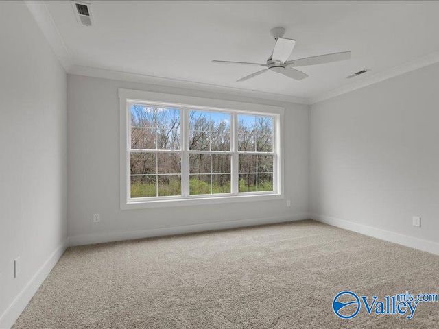 16178 Darby Drive, Athens, AL 35613