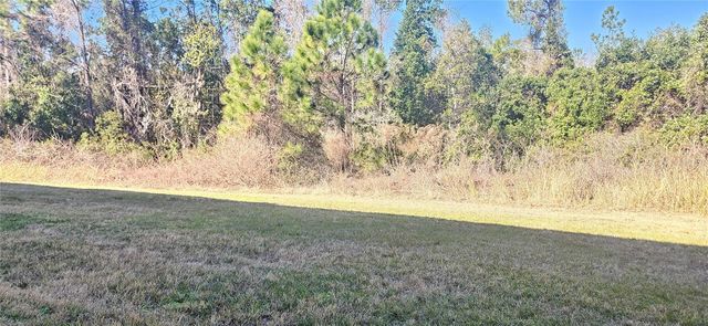 667 BAY LEAF DRIVE, Kissimmee, FL 34759