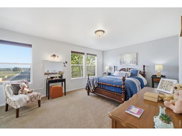 13841 Wrangler Way, Mead, CO 80542
