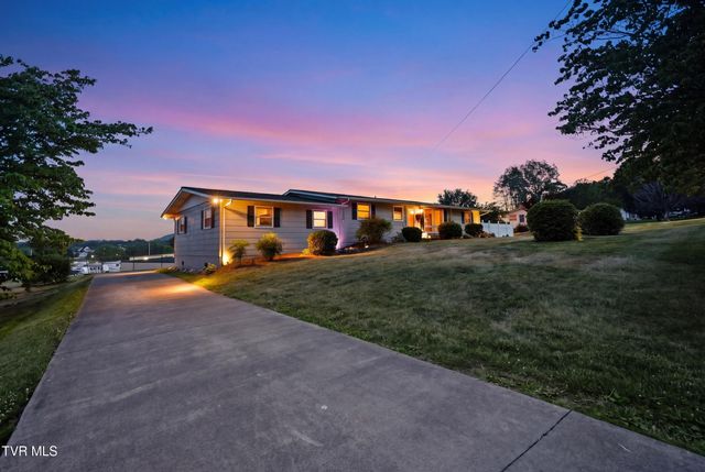 165 Richard Street, Gray, TN 37615