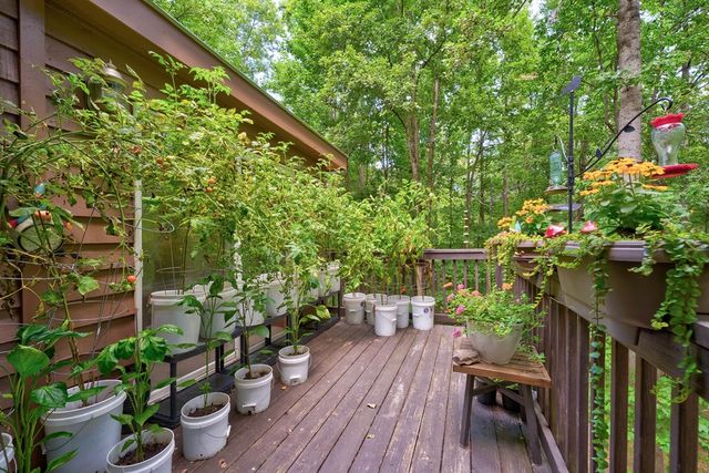 154 Rapsody Circle, Ellijay, GA 30540