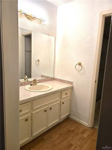 313 Redbud Avenue, Mcallen, TX 78504