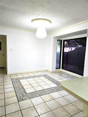 313 Redbud Avenue, Mcallen, TX 78504