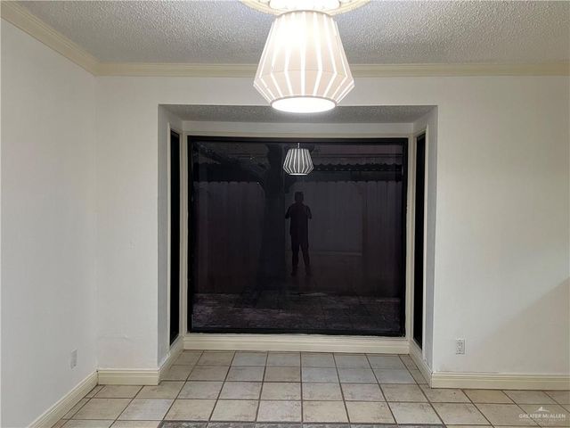313 Redbud Avenue, Mcallen, TX 78504
