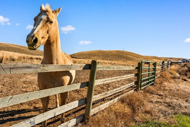 255 Tory Drive, Dillon, MT 59725