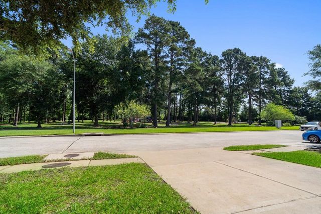 20339 Mammoth Falls Drive, Tomball, TX 77375