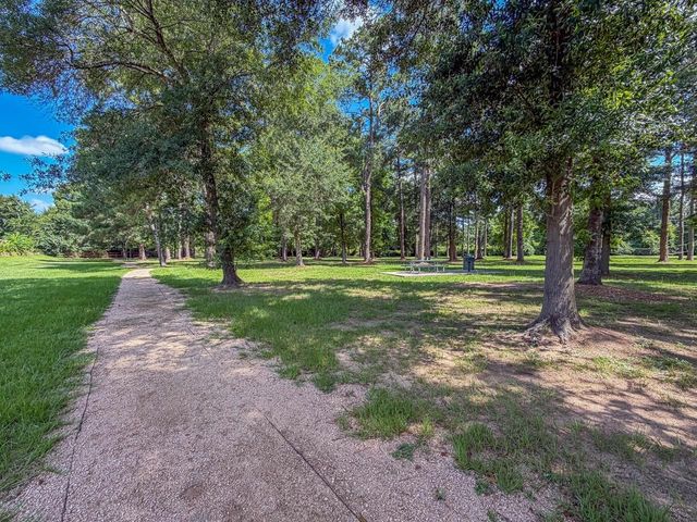 20339 Mammoth Falls Drive, Tomball, TX 77375