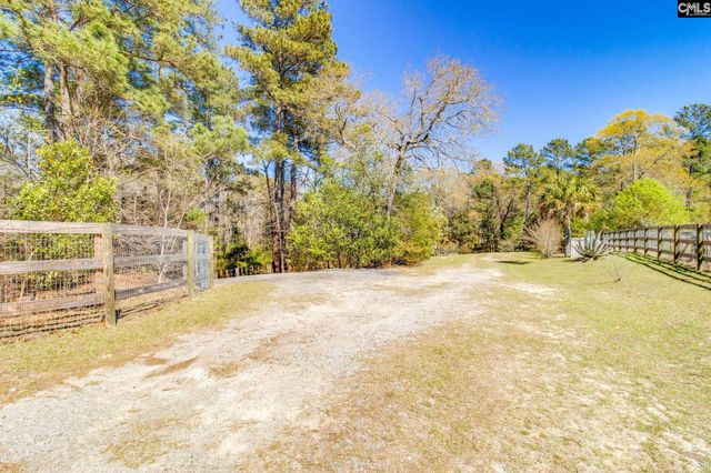 239 Blackthorn Drive, Gilbert, SC 29054