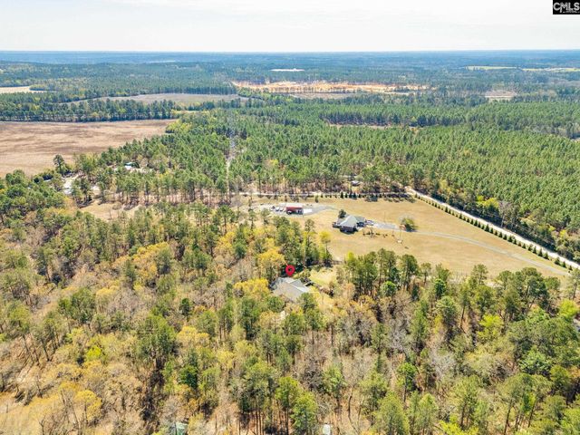 239 Blackthorn Drive, Gilbert, SC 29054