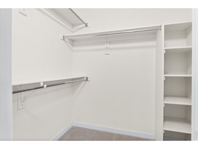 5025 Ladies Tresses Pl, Broomfield, CO 80023