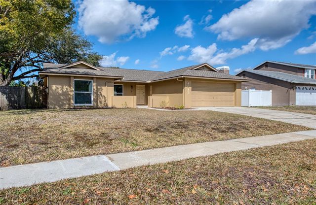 4017 BRAESGATE LANE, Tampa, FL 33624