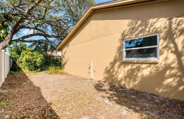 4017 BRAESGATE LANE, Tampa, FL 33624