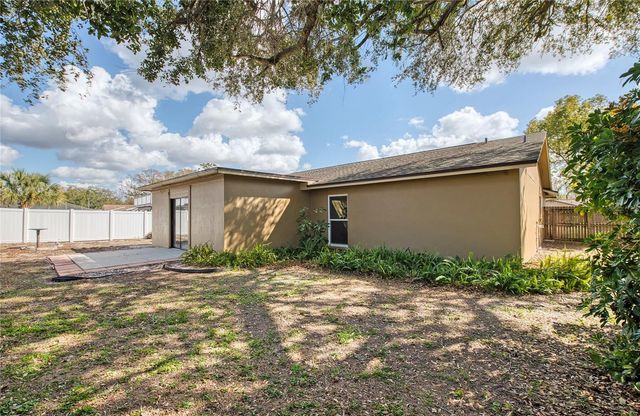 4017 BRAESGATE LANE, Tampa, FL 33624