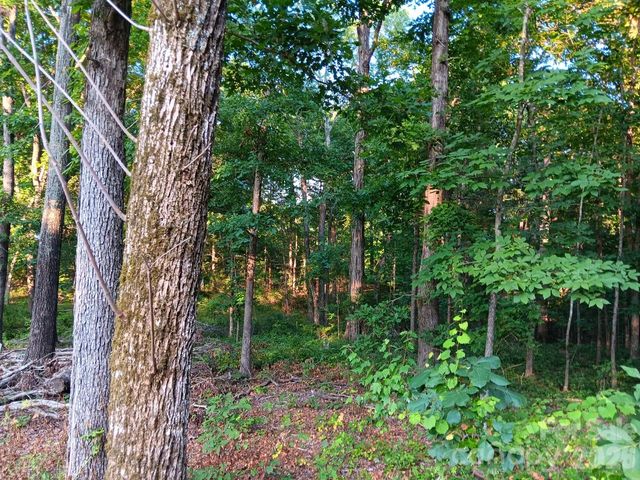 11610 Brief Road 2, Charlotte, NC 28227