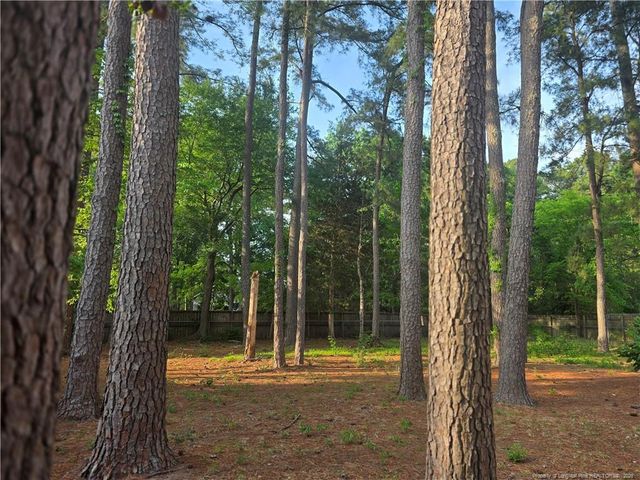 1125 Oakwood Street, Fayetteville, NC 28303