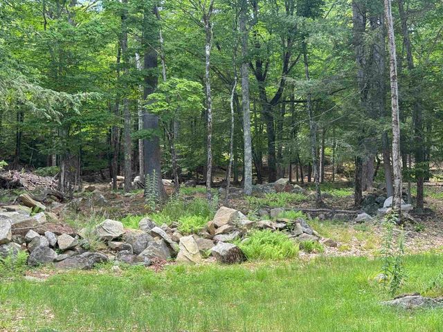 23 Cow Island, Tuftonboro, NH 03816