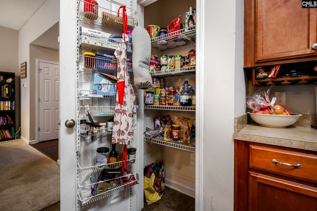 113 Eagleview Drive, Lexington, SC 29073