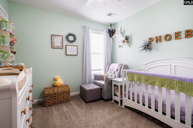 113 Eagleview Drive, Lexington, SC 29073