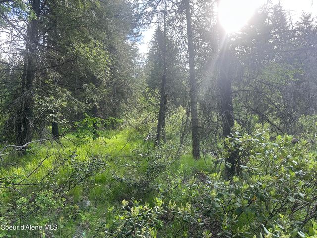 755 Twilight Ln, Sandpoint, ID 83864