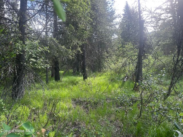755 Twilight Ln, Sandpoint, ID 83864