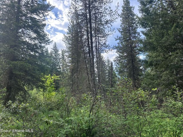 755 Twilight Ln, Sandpoint, ID 83864