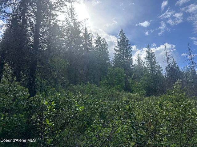 755 Twilight Ln, Sandpoint, ID 83864
