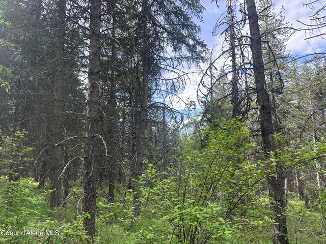 755 Twilight Ln, Sandpoint, ID 83864