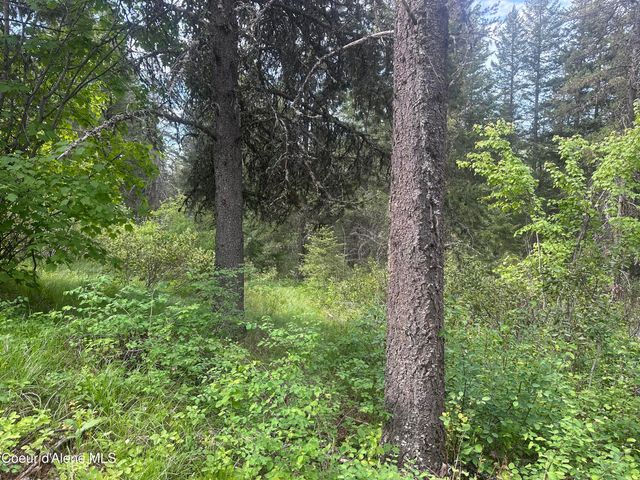 755 Twilight Ln, Sandpoint, ID 83864