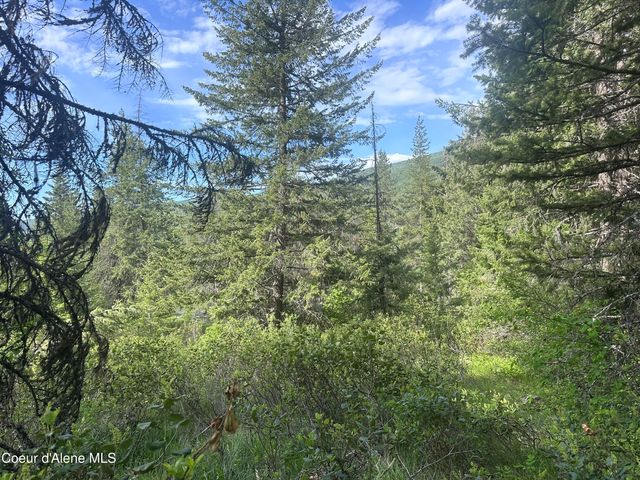 755 Twilight Ln, Sandpoint, ID 83864