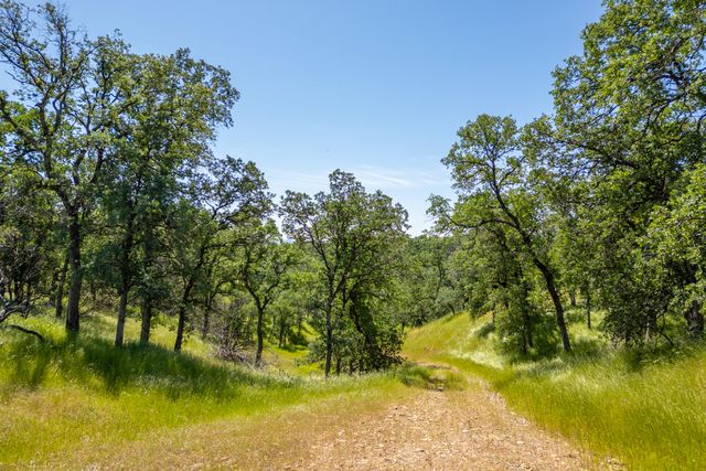 Woodview Drive, Palo Cedro, CA 96073