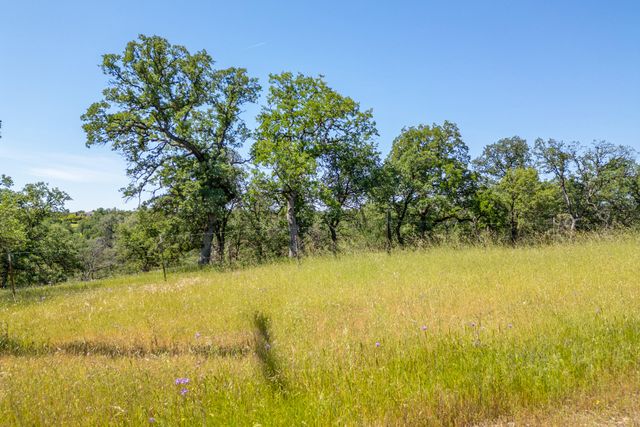 Woodview Drive, Palo Cedro, CA 96073