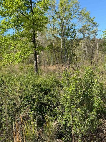 2125 Hwy 247, Belton, SC 29627
