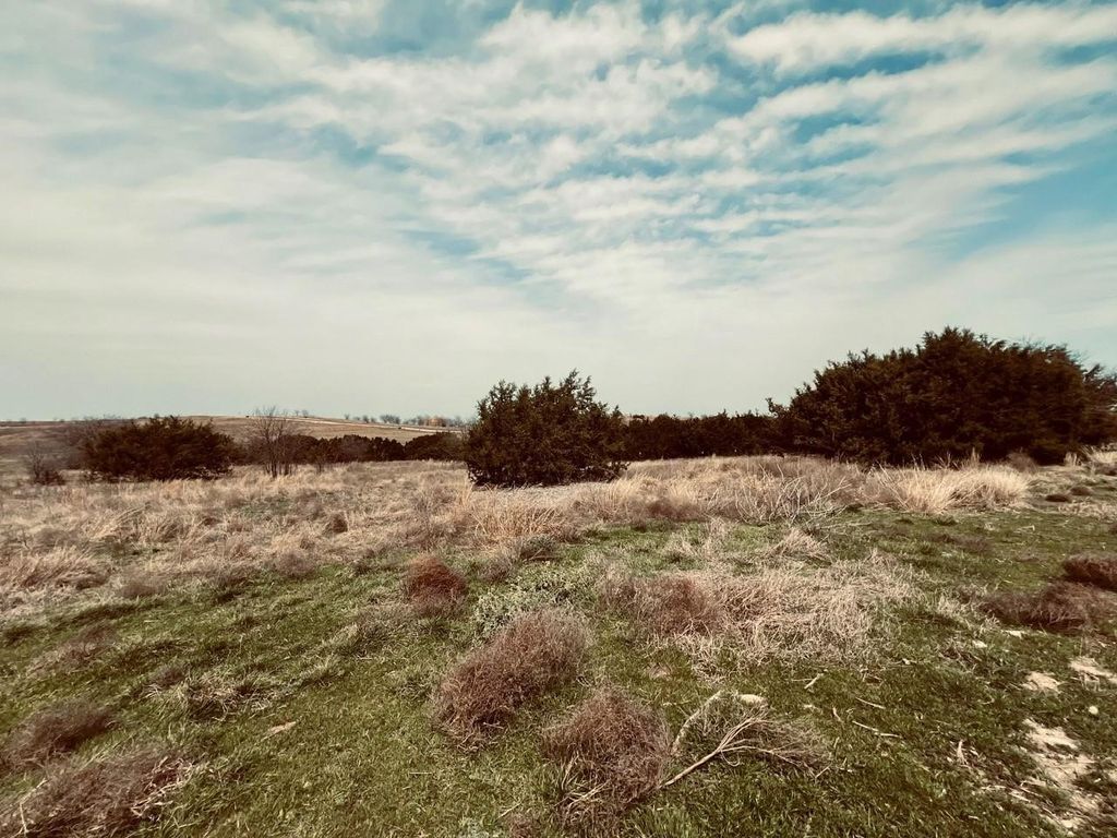 2645 Lucky Pepper, Cresson, TX 76035 — photo 4