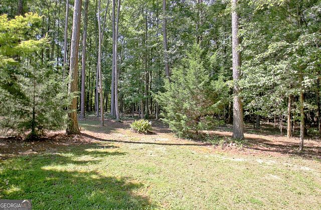 177 Rock House Estates Drive, Senoia, GA 30276