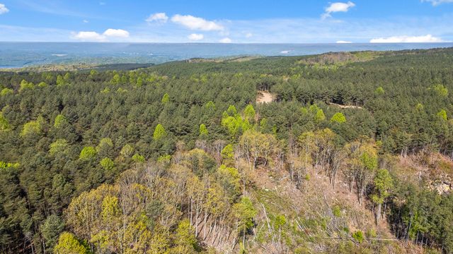 0 High Ground Lot 2233 Road, Guild, TN 37340