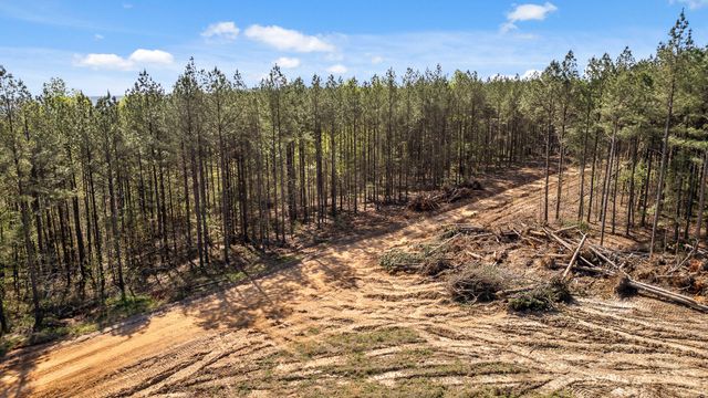 0 High Ground Lot 2233 Road, Guild, TN 37340