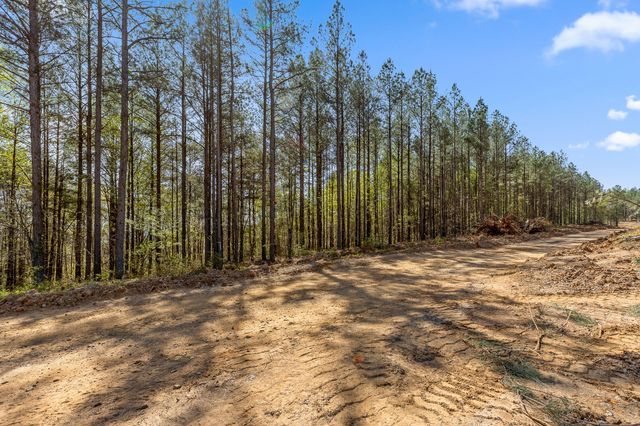 0 High Ground Lot 2233 Road, Guild, TN 37340