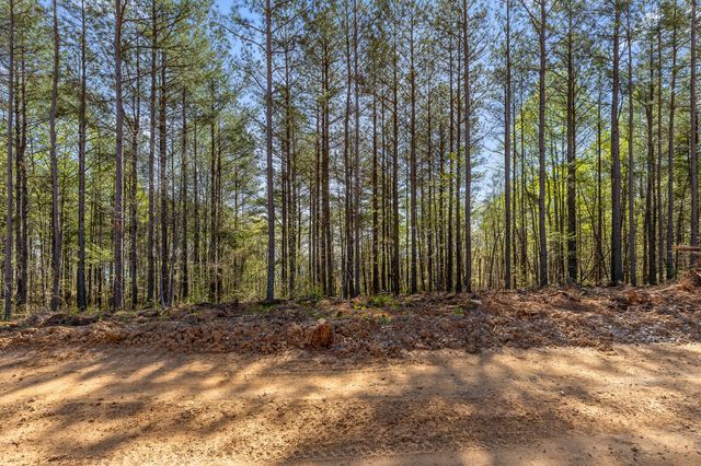 0 High Ground Lot 2233 Road, Guild, TN 37340