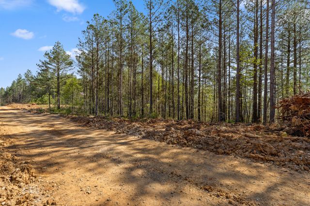 0 High Ground Lot 2233 Road, Guild, TN 37340