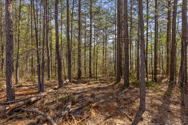 0 High Ground Lot 2233 Road, Guild, TN 37340