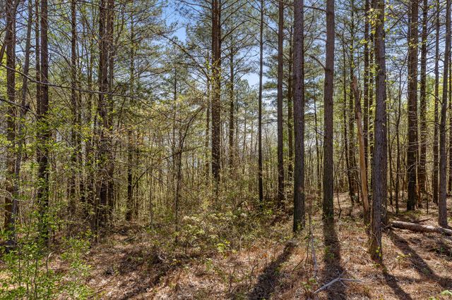 0 High Ground Lot 2233 Road, Guild, TN 37340