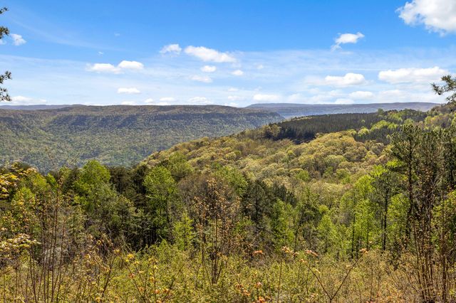 0 High Ground Lot 2233 Road, Guild, TN 37340