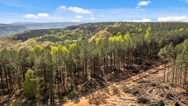 0 High Ground Lot 2233 Road, Guild, TN 37340