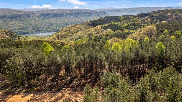 0 High Ground Lot 2233 Road, Guild, TN 37340