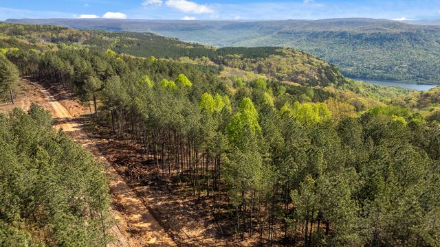 0 High Ground Lot 2233 Road, Guild, TN 37340
