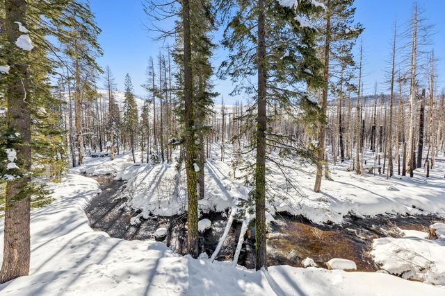 7770 Tamarack Pines Rd, Twin Bridges, CA 95735