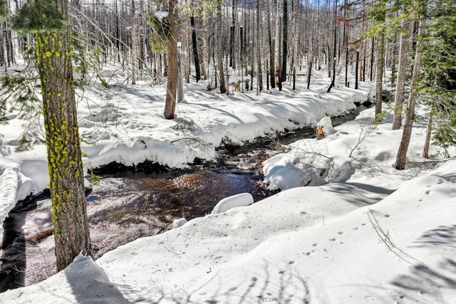 7770 Tamarack Pines Rd, Twin Bridges, CA 95735